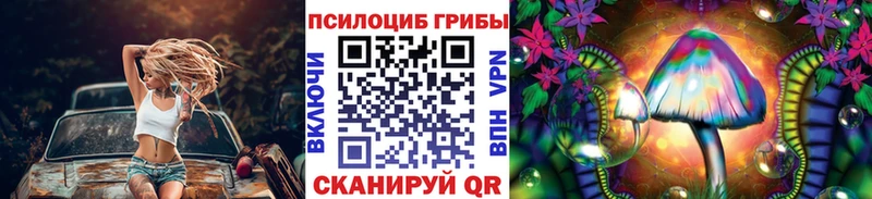 наркотики  Дигора  Галлюциногенные грибы мицелий 